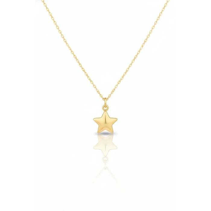 14 Ayar Altın Yıldız Kolye 544