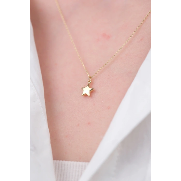 14 Ayar Altın Yıldız Kolye 544