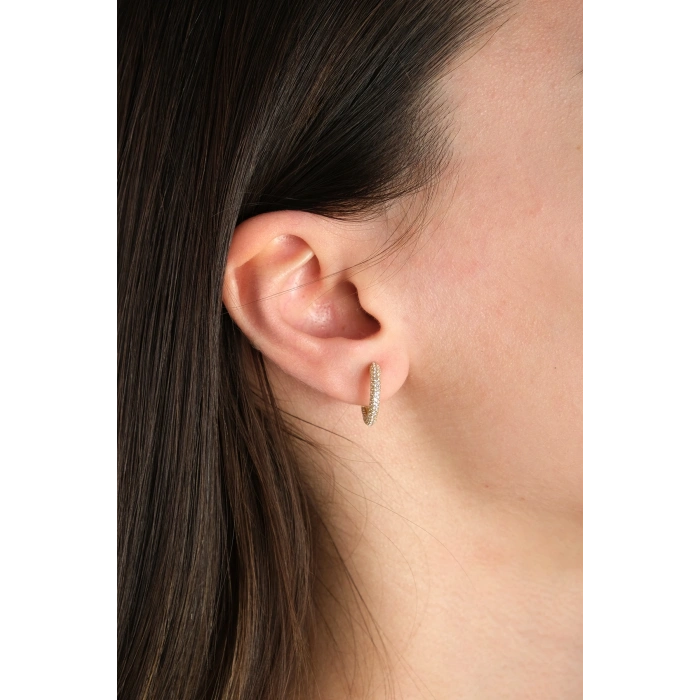 14 Ayar Altın Taşlı Halka Küpe 63