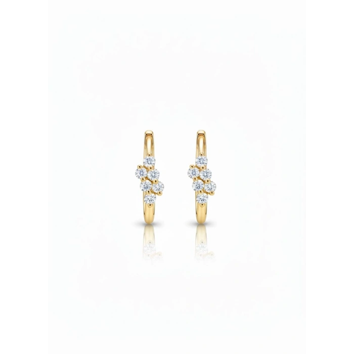 14 Ayar Altın Taşlı Küpe 799