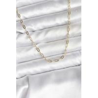 14K Gold Renk Kaplama Ataç Zincir Model CM Kadın Kolye