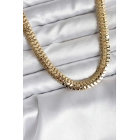 14K Gold Renk Kaplama Zincir Modelli CM Kadın Kolye