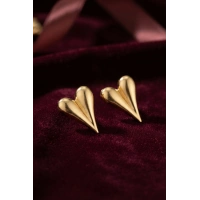 316L Çelik Gold Renk Kalp Model Küpe