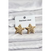 316L Çelik Gold Renk Yıldız Model Kadın Küpe