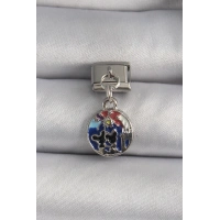 316L Çelik Gümüş Renk Sallantı Dünya Model Nomination Charm