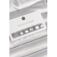 316L Çelik Gümüş Renk Zirkon Taşlı Kadın Küpe Seti