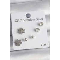 316L Çelik Gümüş Renk Zirkon Taşlı Kar Tanesi Model Kadın Küpe Seti