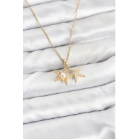 316L Çelik Zincir Gold Renk Deniz Yıldızı Model Zirkon Taşlı Kadın Kolye