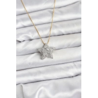 316L Çelik Zincir Gold Renk Zincirli Gümüş Yıldız Model Kadın Kolye