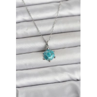 316L Çelik Zincir Gümüş Renk Kaplumbağa Model Kadın Kolye