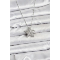 316L Çelik Zincir Gümüş Renk Zincirli Gümüş Yıldız Model Kadın Kolye
