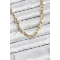 Gold Renk Pirinç Tifani Model Kadın Kolye