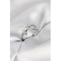 Minimal Kutup Yıldızı Model Gümüş Renk Kadın Yüzük