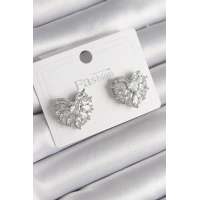 Pirinç Gümüş Renk Zirkon Taşlı Kalp Model Kadın Küpe