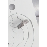 Pirinç Gümüş Renk Zirkon Taşlı Kıkırdak Model Kadın Küpe