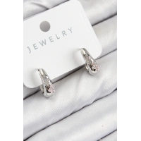 Pirinç Zirkon Taş Desenli Model Gümüş Renk Kadın Küpe