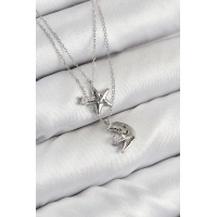 Pirinç Zirkon Taşlı Yıldız Ve Ay Model Gümüş Renk Kadın Kolye