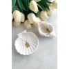 2li Beyaz Taş tozu Deniz Kabuğu Ve Istiridye Set