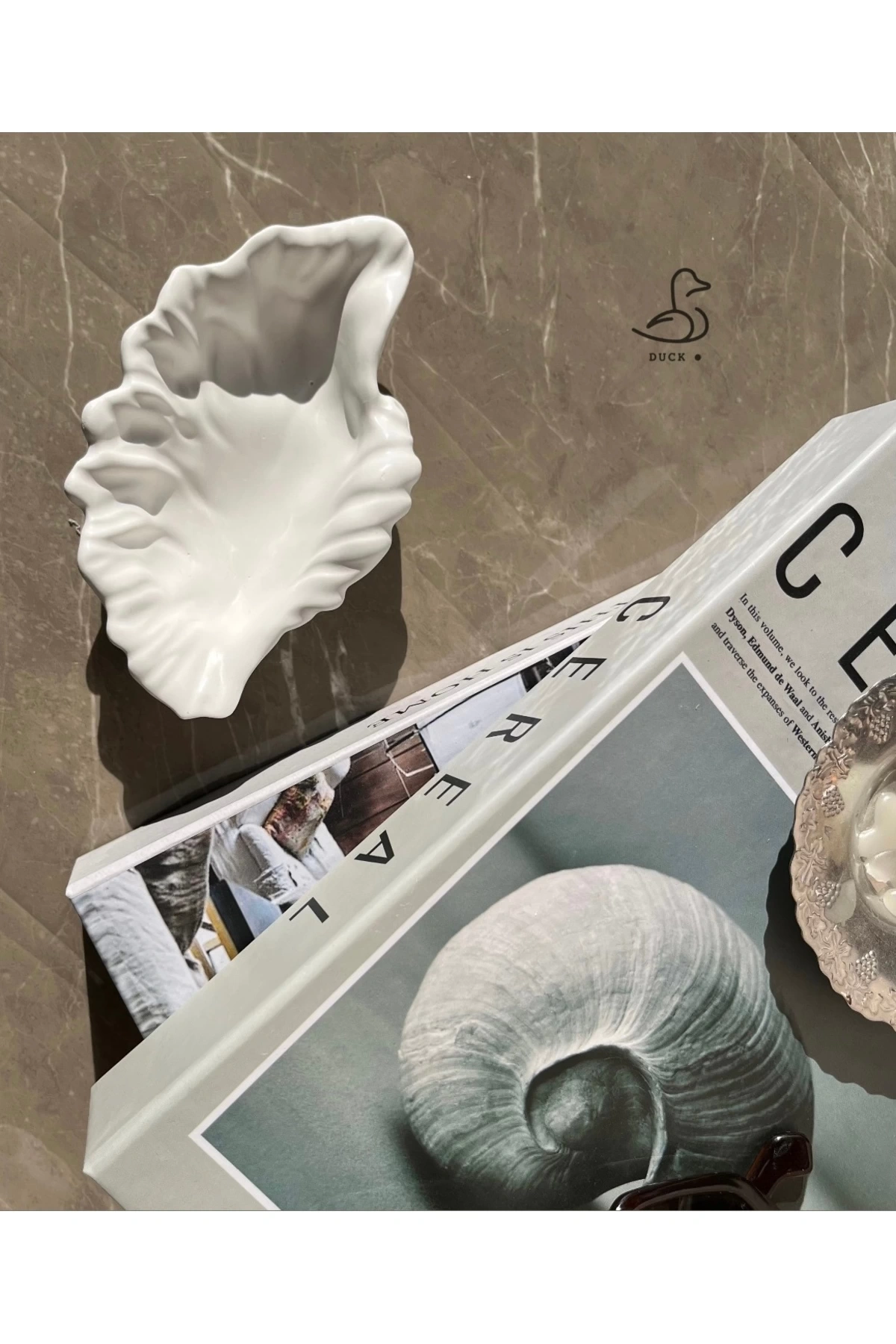 Deniz Kabuğu Görünümlü Dekoratif Obje (15-10 CM)