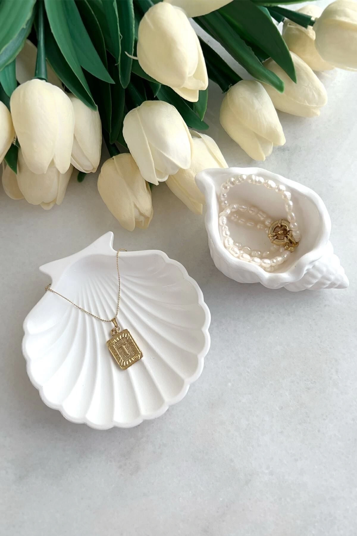 2li Beyaz Taş tozu Deniz Kabuğu Ve Istiridye Set