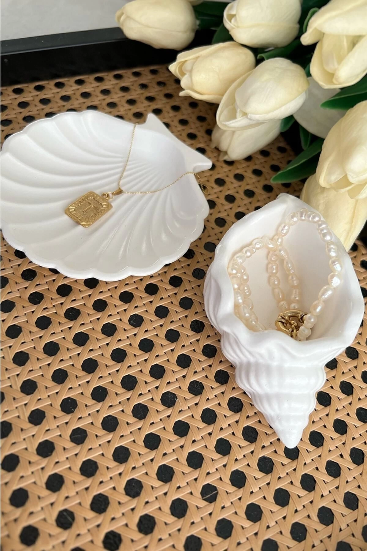 2li Beyaz Taş tozu Deniz Kabuğu Ve Istiridye Set