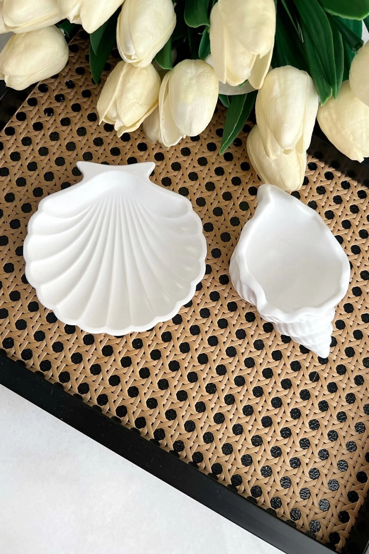 2li Beyaz Taş tozu Deniz Kabuğu Ve Istiridye Set