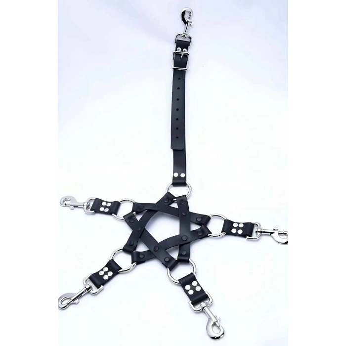 Erkek Fantazi Deri Harness Takım - APFTM86