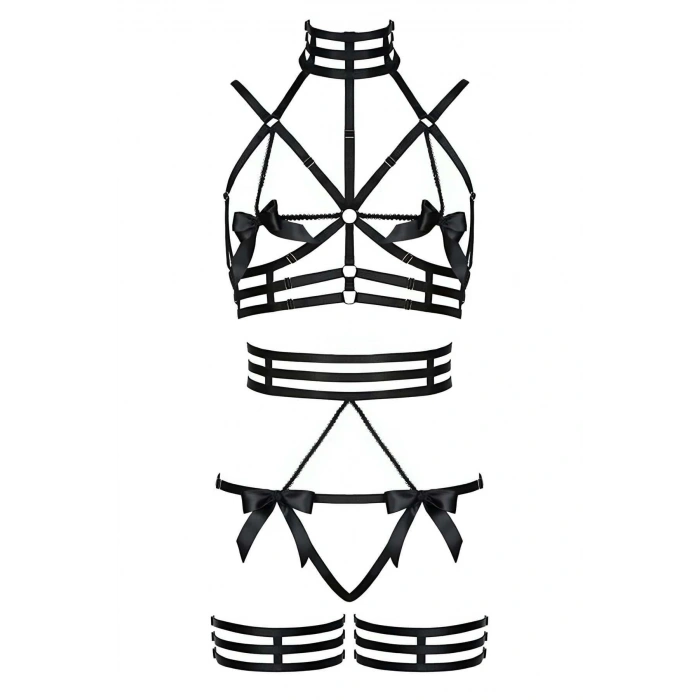 Özel Tasarım Seksi Harness Takım - APFT350