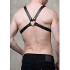 Çapraz Erkek Göğüs Harness - APFTM43