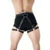 Fiyonklu Erkek Bel Ve Bacak Deri Harness - APFTM89
