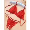 Tegan Fantezi Kırmızı Dantelli Seksi Sütyen Kilot Takım TG279703