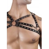 Zımba Detaylı Seksi Erkek Üst Harness - APFTM66