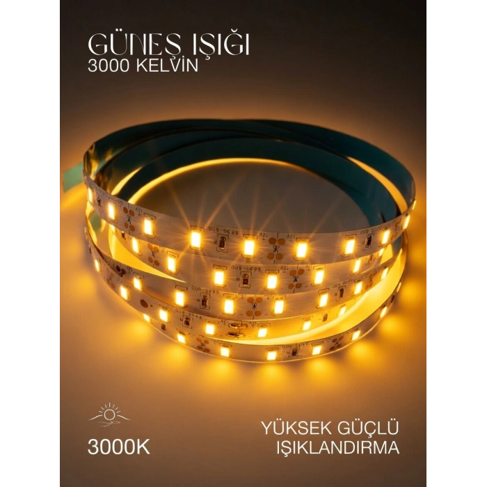 CATA 12v Dc GÜNIŞIĞI 12 Çip Gold İç Mekan Şerit Led 3000k 1mt 16w IP20 (Metrede 12 Çipli 60 Led)