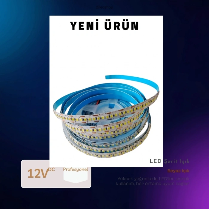 SCHUAR 12v Dc BEYAZ 16w/240 Led Extra Parlak İç Mekan Şerit Led IP20 12 Volt 1mt