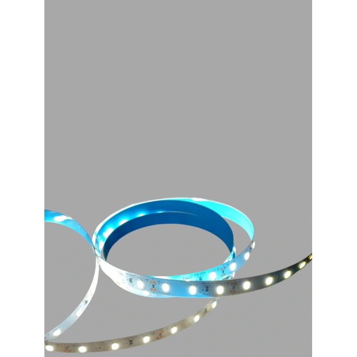 CATA 12v 12 Çip Gold İç Mekan Şerit Led Beyaz 6500K 16W 6500K 1 MT