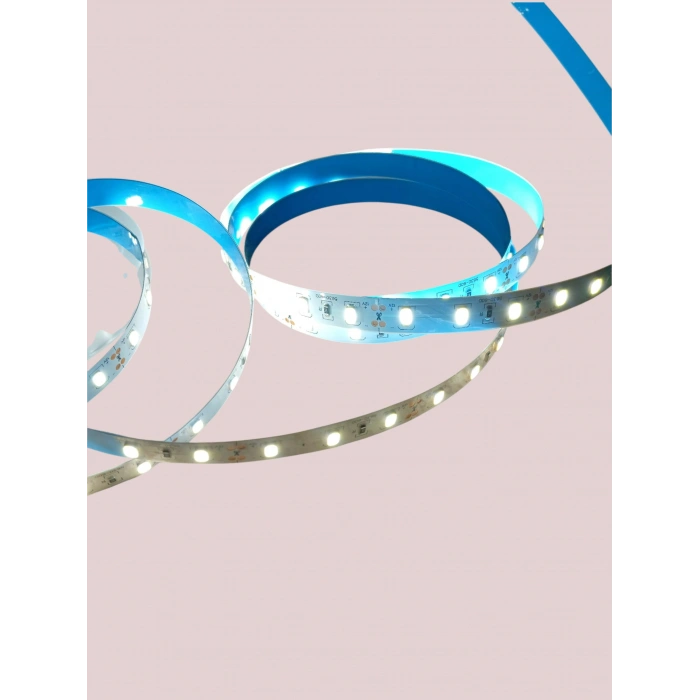 CATA 12v 12 Çip Gold İç Mekan Şerit Led Beyaz 6500K 16W 6500K 1 MT