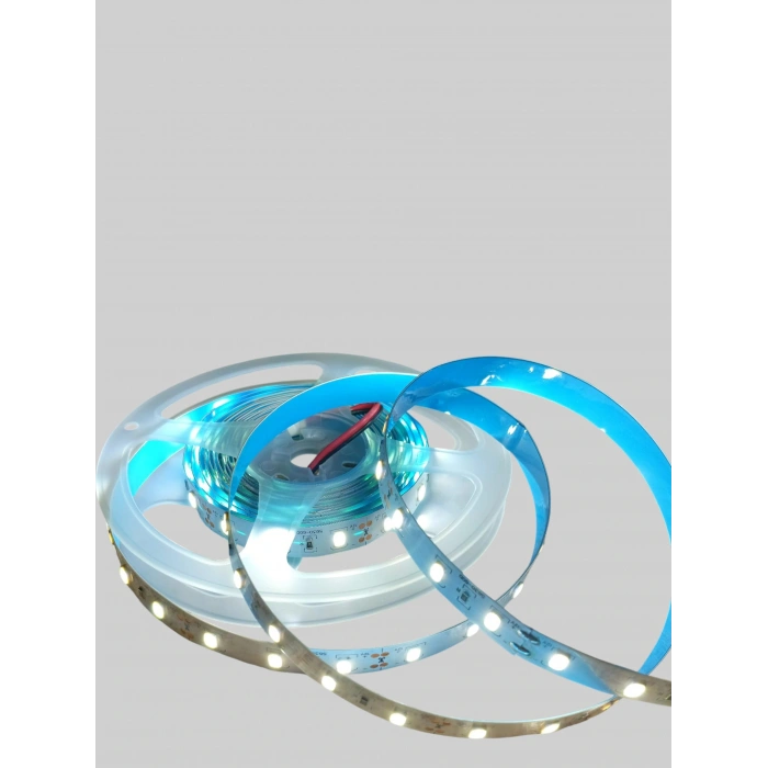 CATA 12v 12 Çip Gold İç Mekan Şerit Led Beyaz 6500K 16W 6500K 1 MT