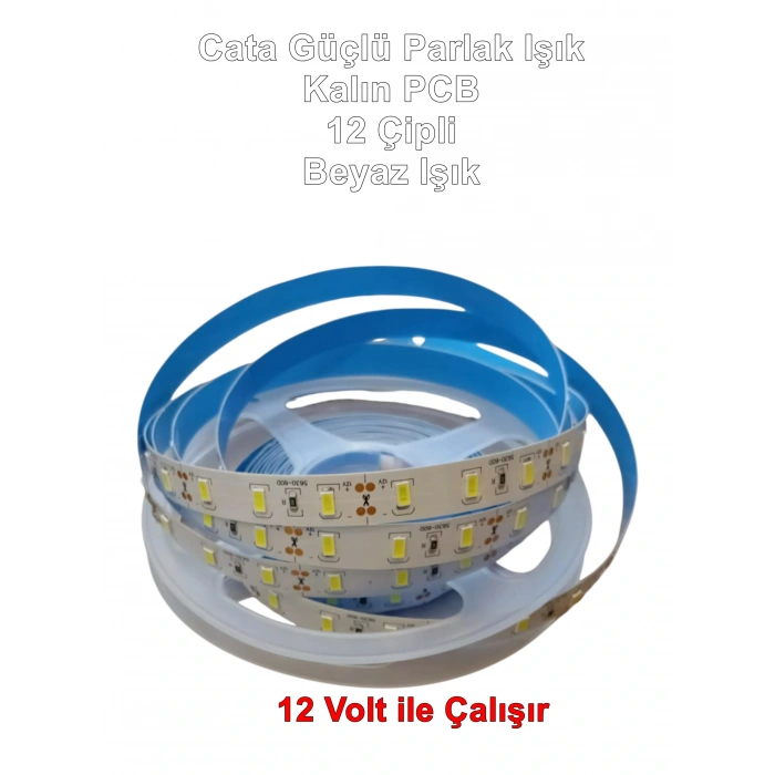 CATA 12v 12 Çip Gold İç Mekan Şerit Led Beyaz 6500K 16W 6500K 1 MT
