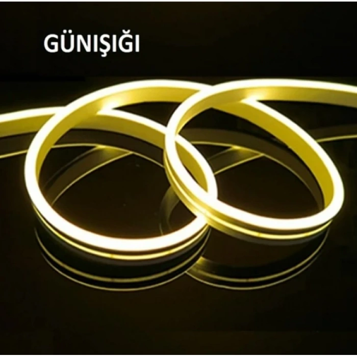 CATA 12V NEON Led Hortum Günışığı (1MT FİYATI) Pk. 50Mt