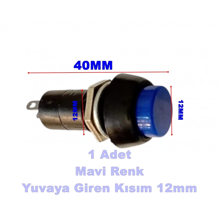ENDER Plastik MAVİ Yuvarlak Yaylı Buton Anahtar 12mm