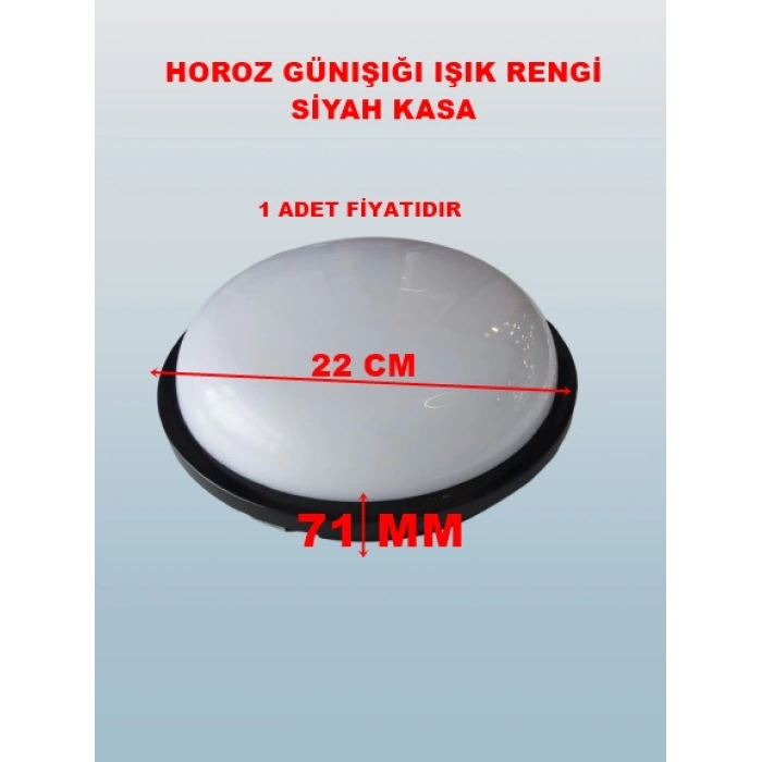 HOROZ Artos SİYAH 20w Yuvarlak Glop Led Armatür 4200k IP65 Günışığı