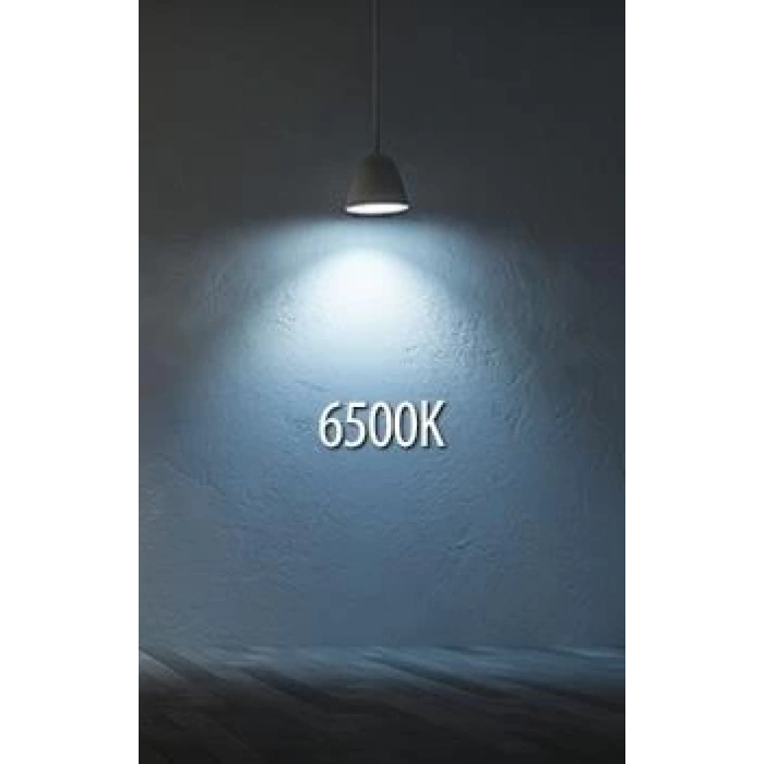 HOROZ Carla 24w Led Glop BEYAZ 7000K Beyaz Işık IP20