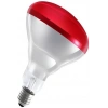 Kırmızı Işık 150w E-27 Duylu İnfrared Isı Ampulu Kuluçka Civciv Evcil Hayvan ve Ortam Isıtma 220v 150 Watt (Sürüngen İguana vs)