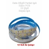 CATA 12v 12 Çip Gold İç Mekan Şerit Led Beyaz 6500K 16W 6500K 1 MT