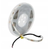 CATA 12v Dc Dış Mekan AMBER Şerit Led IP44 (10çip 8w/1mt)