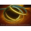 CATA 12v Dc GÜNIŞIĞI 16w/240 Led Extra Parlak İç Mekan Şerit Led IP20 12 Volt 1mt