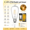 CATA 8W RUSTİK LED AMPUL GÜNIŞIĞI ARMUT