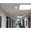 HOROZ Focus 360 Derece Görüş Açılı Sıva Üstü Hareket Sensörü 1000w IP44