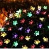 PAPATYA Çiçek Şekilli Solar Güneş Enerjili RGB 5mt Dış Mekan 50li Slikon Süsleme Ledli IP65