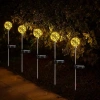 Solar Güneş Enerjili GÜNIŞIĞI 2li Paket Top Fanus Şekilli Bahçe Armatürü Çim Kazıklı  IP65 (3500k 2 Adet Gün Işığı Sarı Işık)